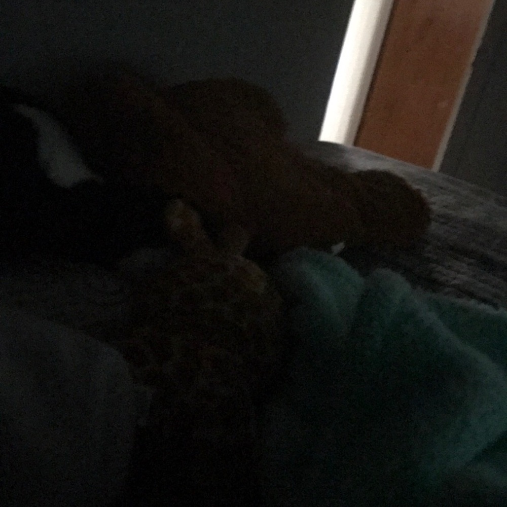 Meet your Posher, Samantha